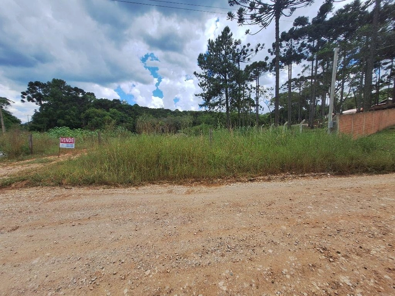 null: 12ª foto da galeria de imagens do imóvel