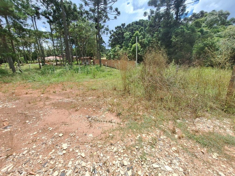 null: 3ª foto da galeria de imagens do imóvel