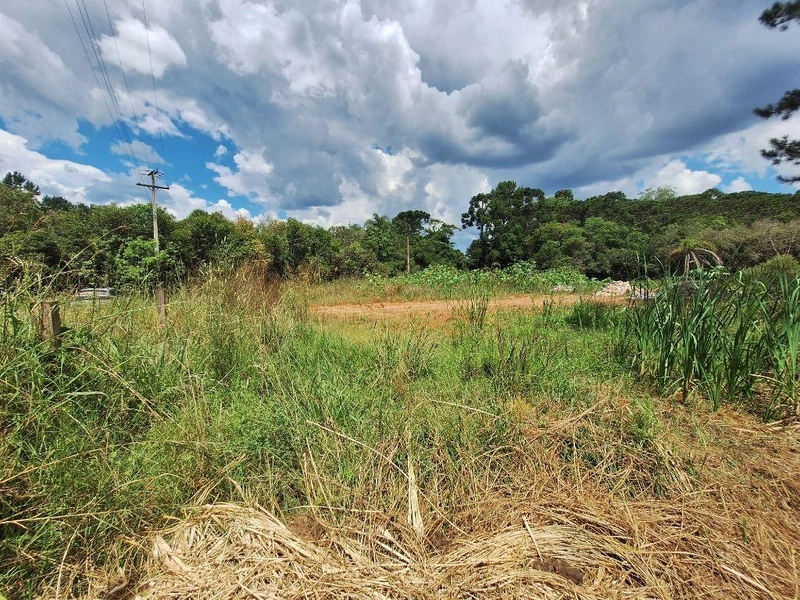 null: 4ª foto da galeria de imagens do imóvel