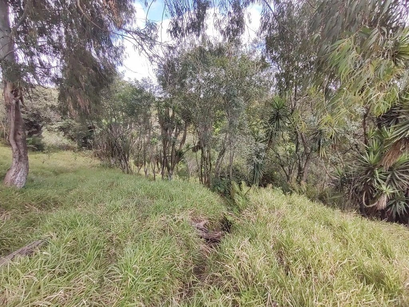 null: 12ª foto da galeria de imagens do imóvel