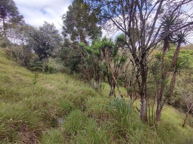 null: 15ª foto da galeria de imagens do imóvel