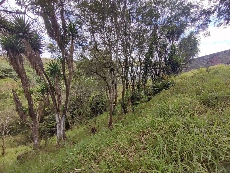 null: 16ª foto da galeria de imagens do imóvel