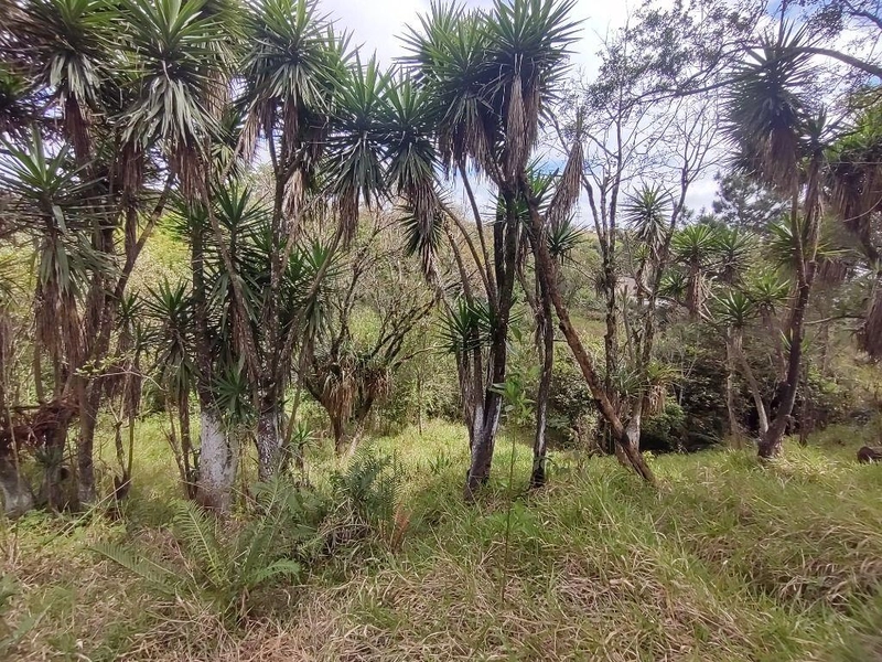 null: 18ª foto da galeria de imagens do imóvel