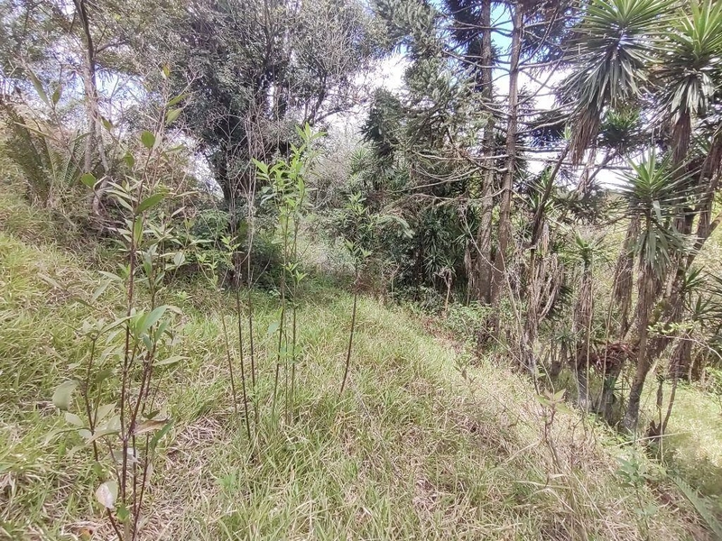 null: 19ª foto da galeria de imagens do imóvel