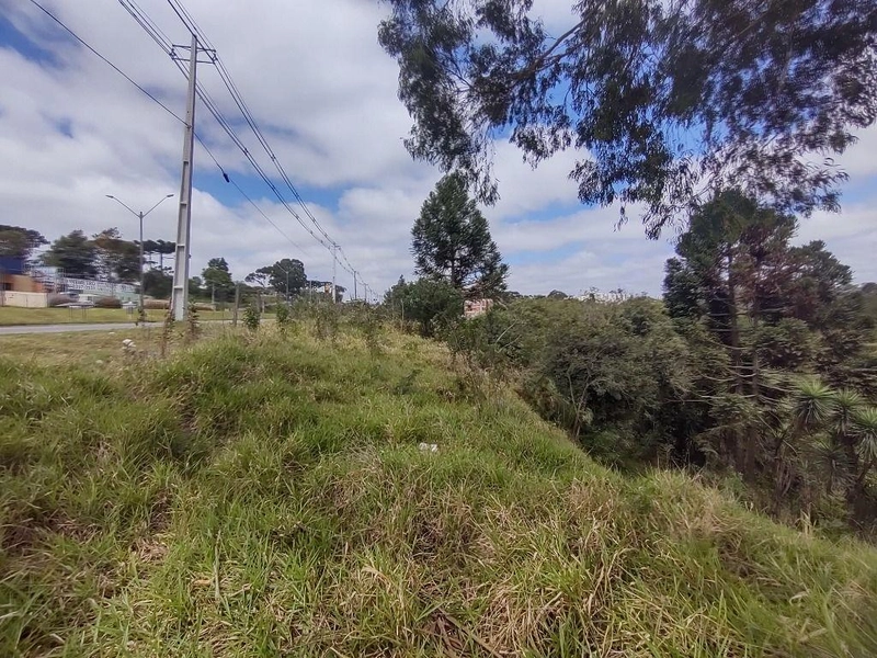 null: 20ª foto da galeria de imagens do imóvel