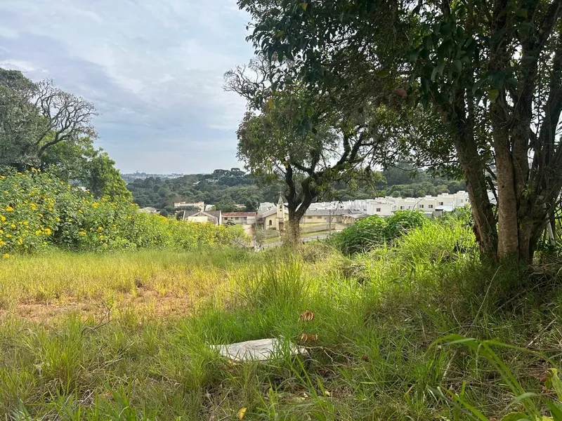 Terreno Ideal para Construçao de Casas de Condominio: 4ª foto da galeria de imagens do imóvel