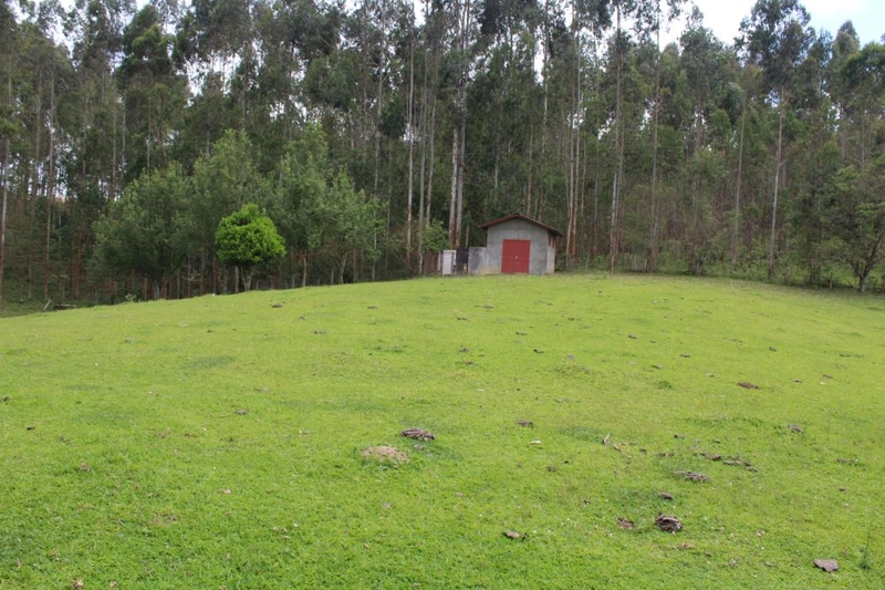 null: 12ª foto da galeria de imagens do imóvel