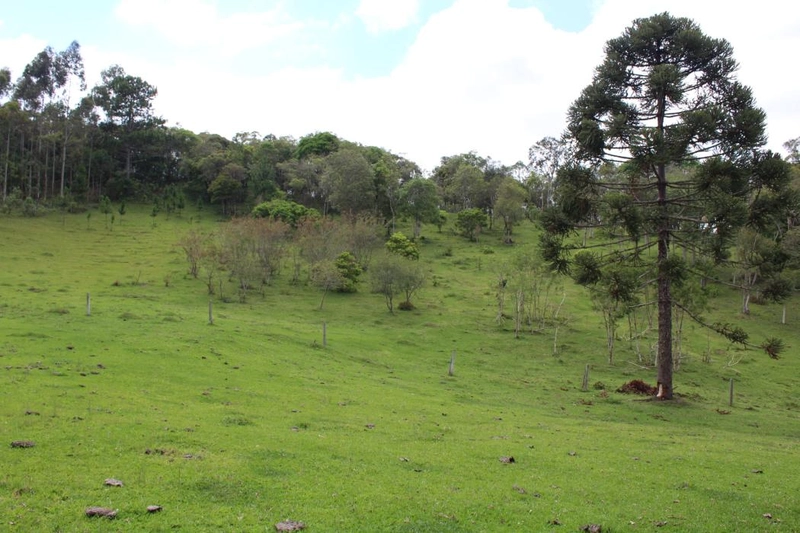 null: 13ª foto da galeria de imagens do imóvel