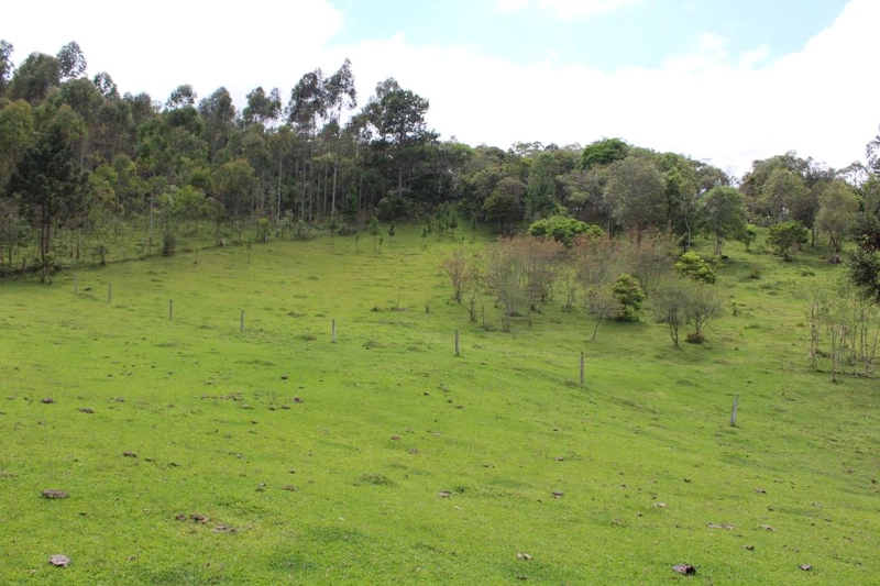 null: 15ª foto da galeria de imagens do imóvel