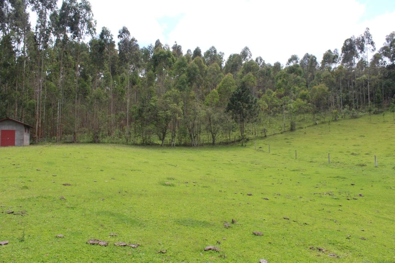 null: 16ª foto da galeria de imagens do imóvel