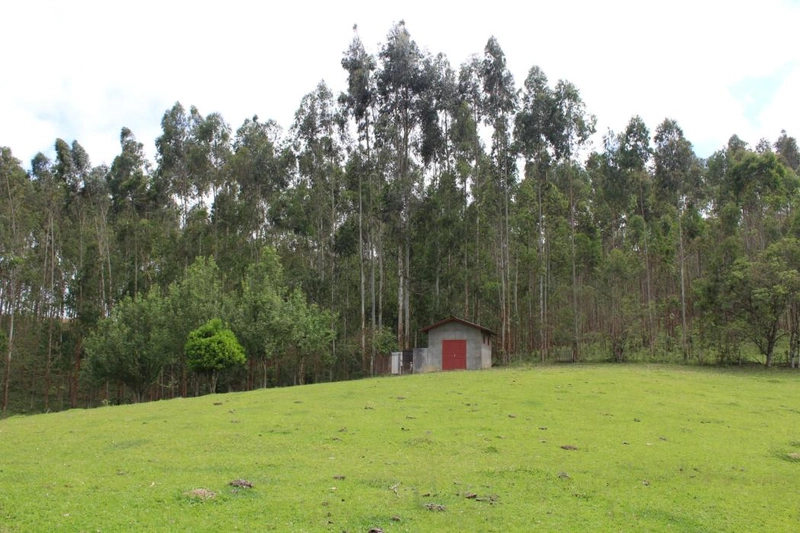 null: 17ª foto da galeria de imagens do imóvel