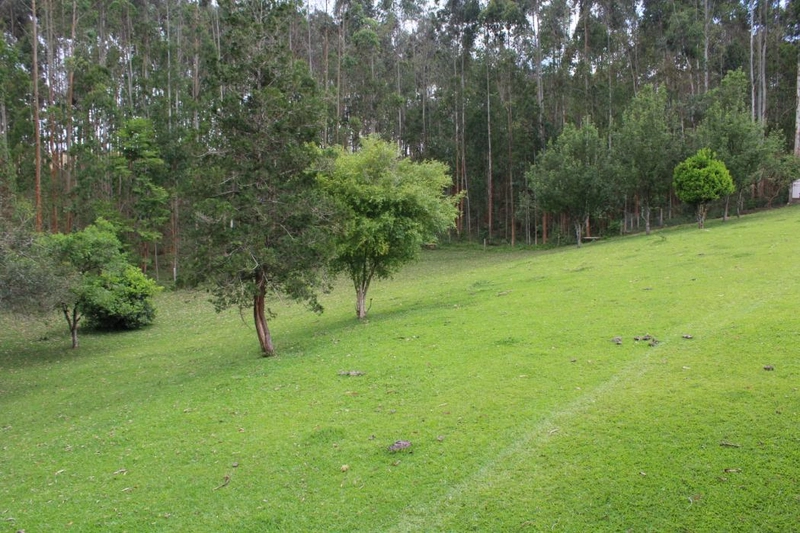 null: 25ª foto da galeria de imagens do imóvel