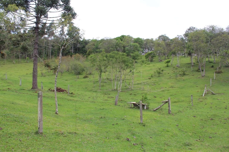 null: 33ª foto da galeria de imagens do imóvel