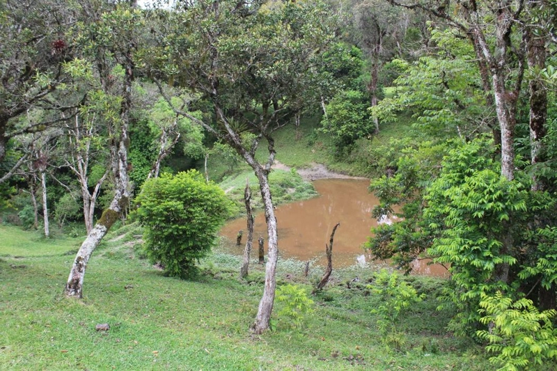 null: 35ª foto da galeria de imagens do imóvel