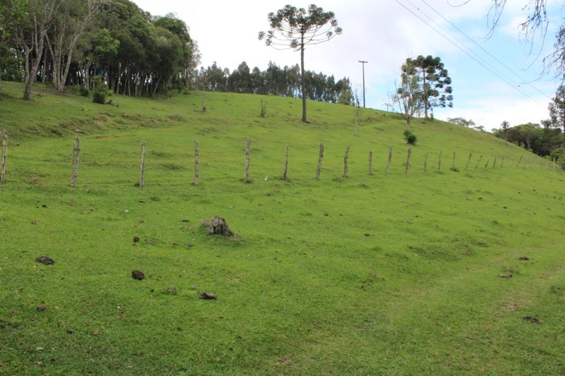 null: 38ª foto da galeria de imagens do imóvel