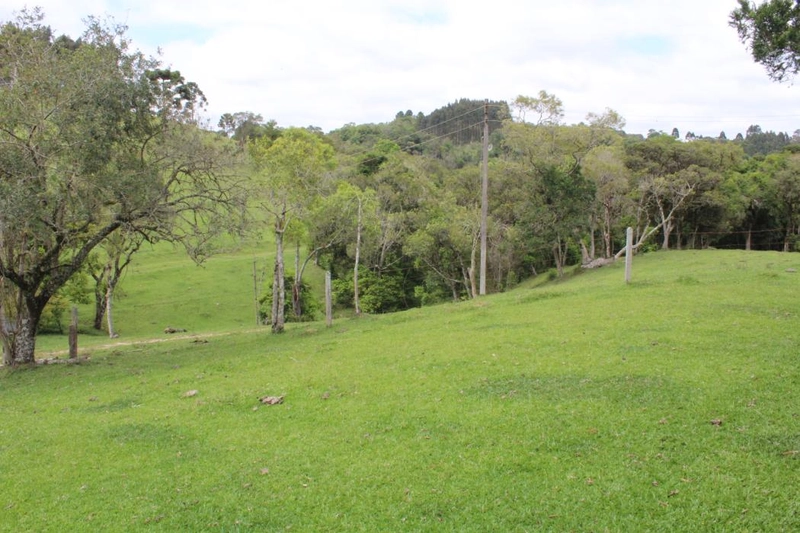 null: 4ª foto da galeria de imagens do imóvel