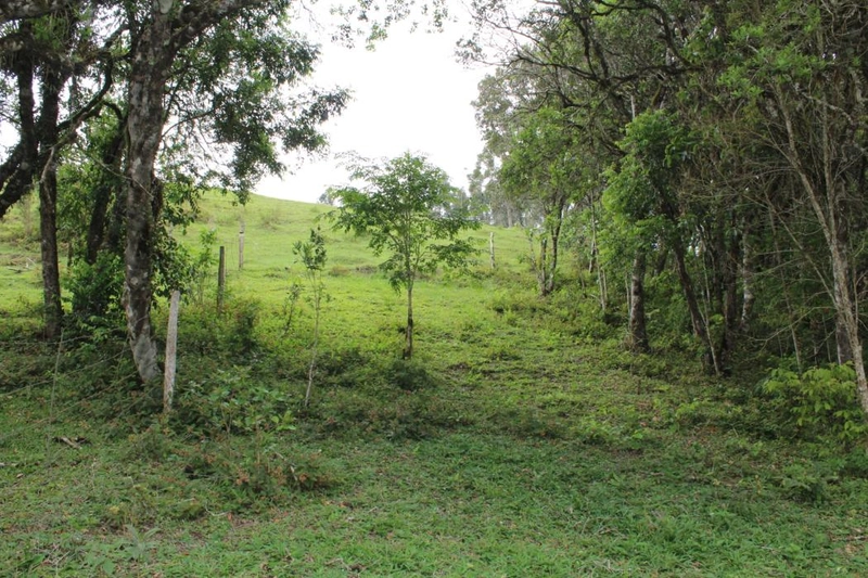 null: 40ª foto da galeria de imagens do imóvel