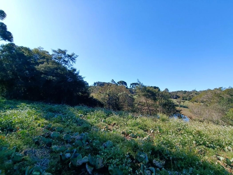 null: 21ª foto da galeria de imagens do imóvel