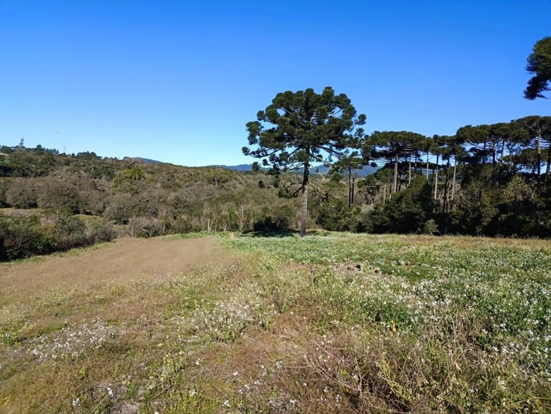 null: 24ª foto da galeria de imagens do imóvel