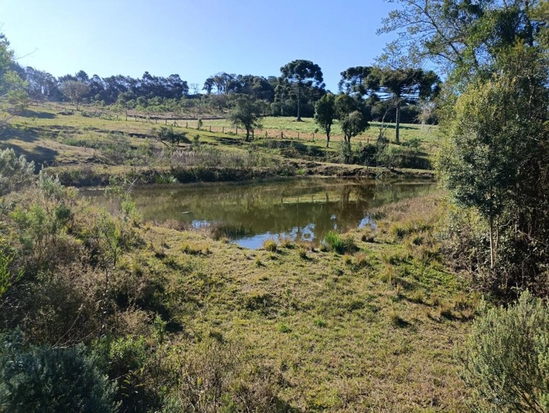 null: 26ª foto da galeria de imagens do imóvel