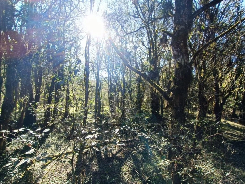 null: 29ª foto da galeria de imagens do imóvel