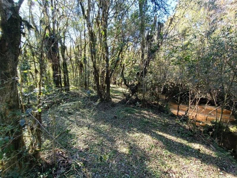 null: 32ª foto da galeria de imagens do imóvel