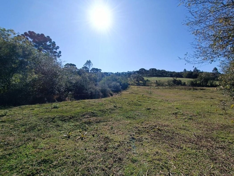 null: 36ª foto da galeria de imagens do imóvel