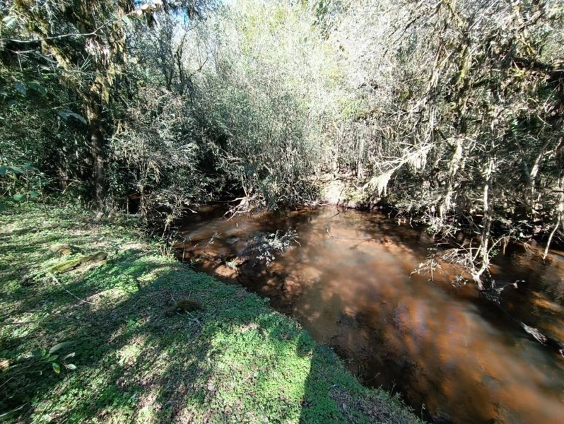 null: 46ª foto da galeria de imagens do imóvel