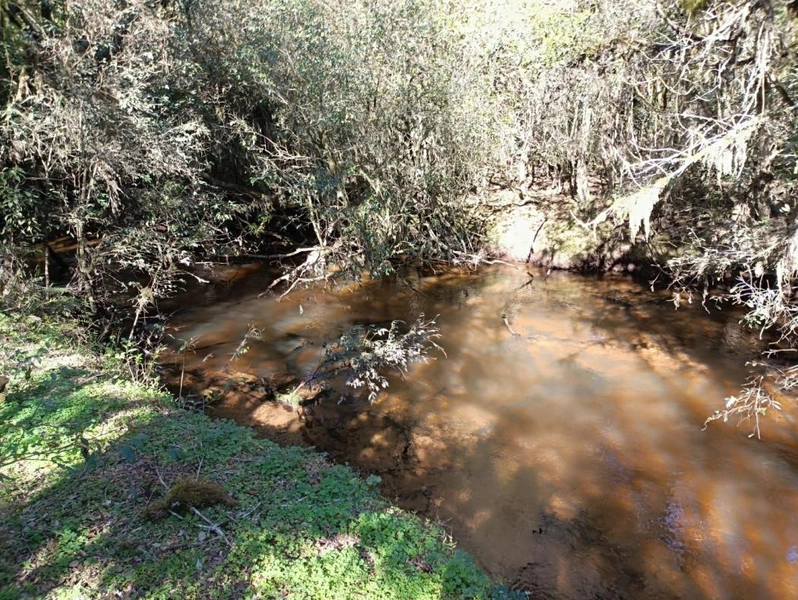 null: 47ª foto da galeria de imagens do imóvel