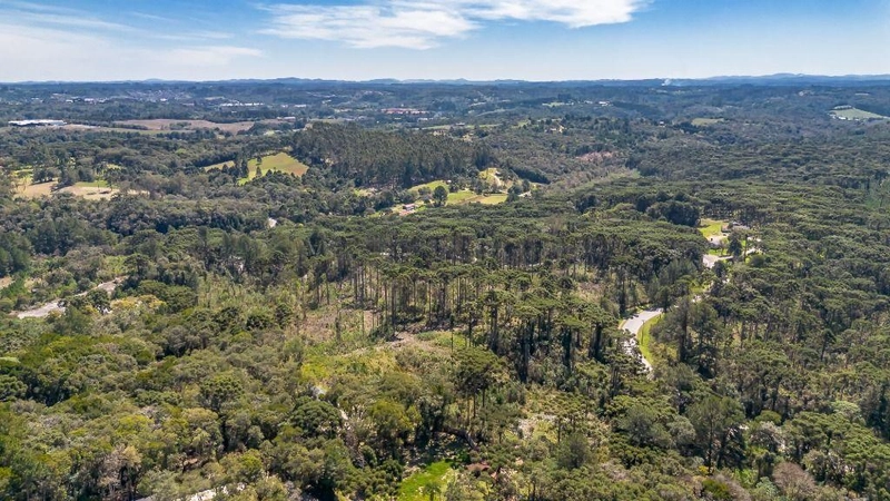 null: 29ª foto da galeria de imagens do imóvel