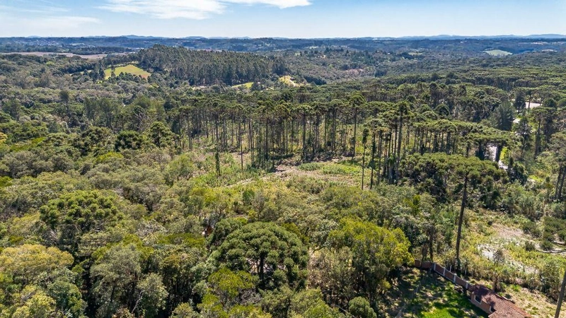 null: 32ª foto da galeria de imagens do imóvel