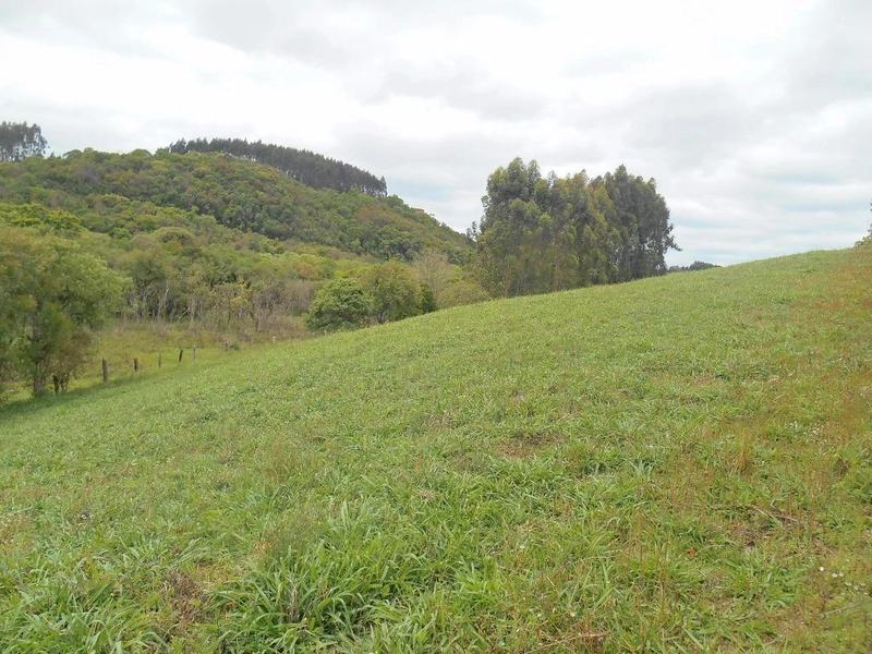 null: 13ª foto da galeria de imagens do imóvel