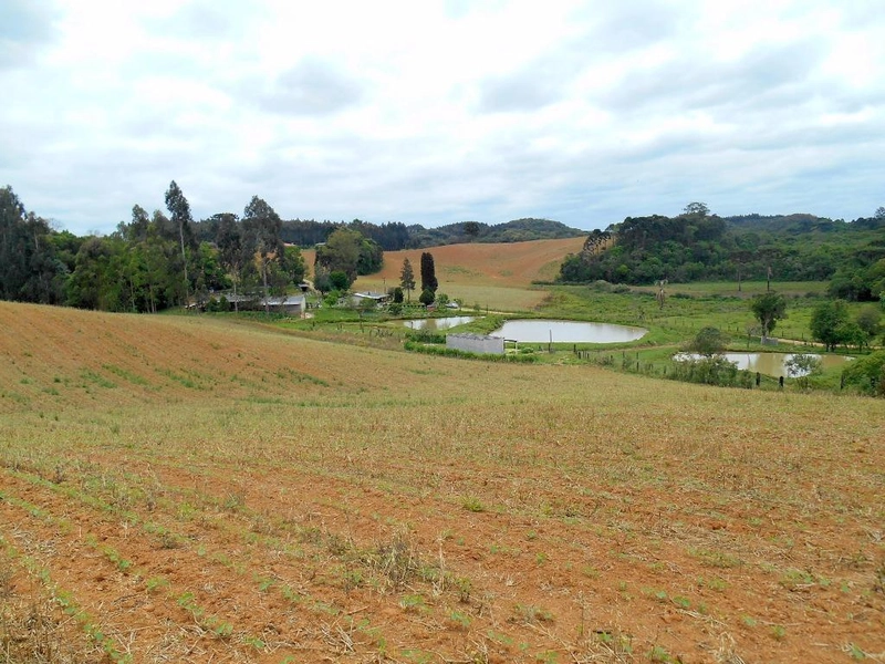 null: 14ª foto da galeria de imagens do imóvel