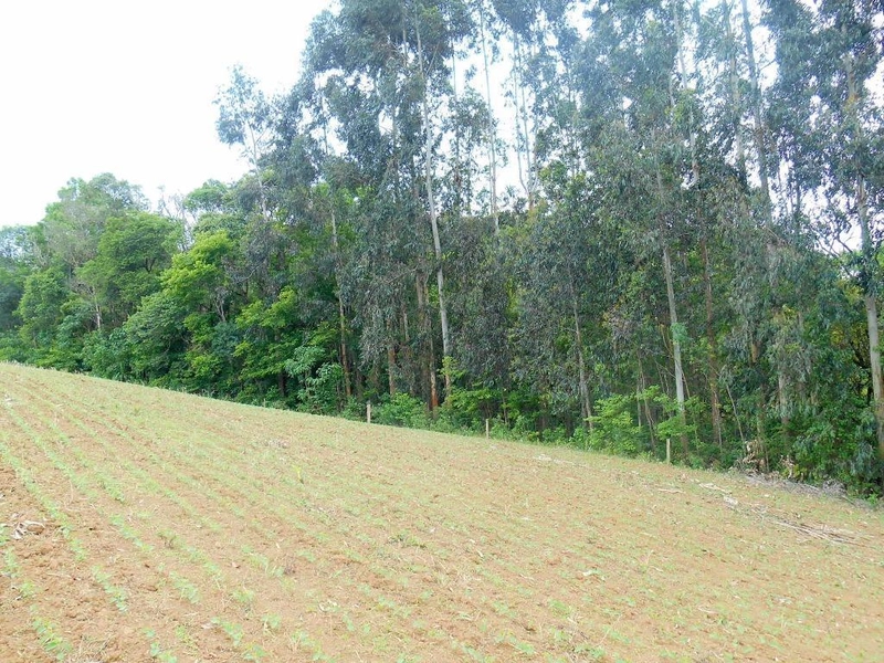 null: 16ª foto da galeria de imagens do imóvel