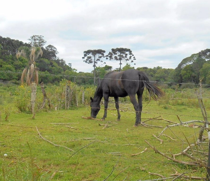 null: 25ª foto da galeria de imagens do imóvel
