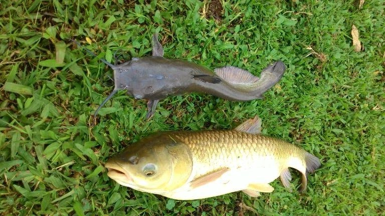 null: 34ª foto da galeria de imagens do imóvel