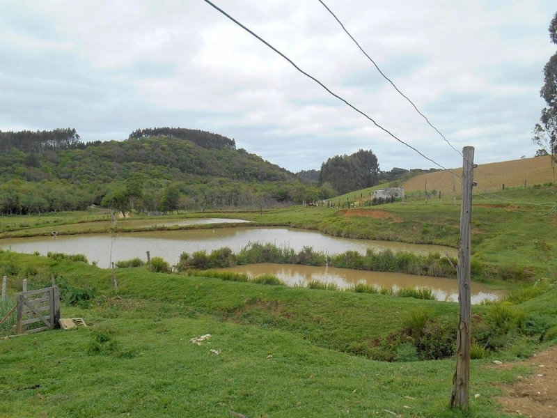 null: 4ª foto da galeria de imagens do imóvel