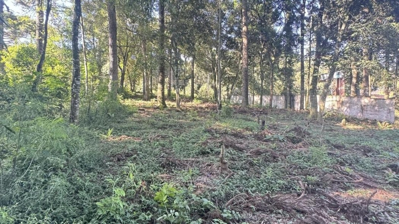 null: 10ª foto da galeria de imagens do imóvel