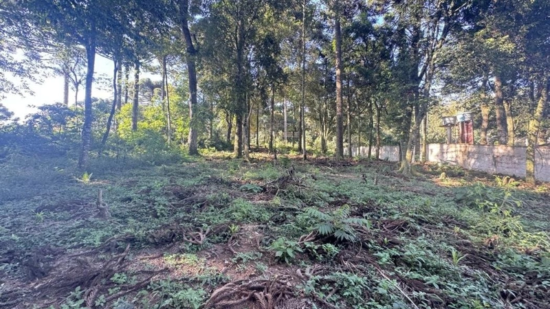 null: 11ª foto da galeria de imagens do imóvel