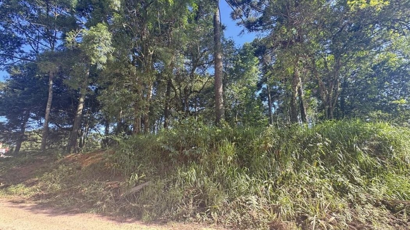 null: 12ª foto da galeria de imagens do imóvel