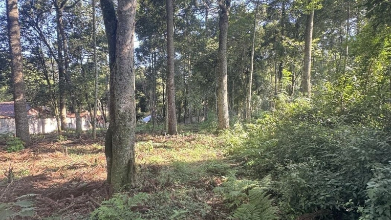 null: 13ª foto da galeria de imagens do imóvel