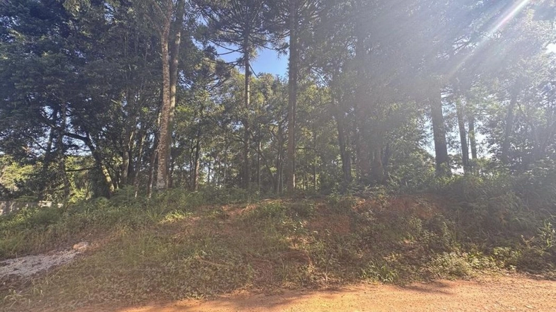 null: 14ª foto da galeria de imagens do imóvel