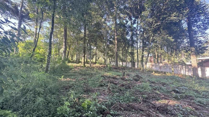 null: 15ª foto da galeria de imagens do imóvel