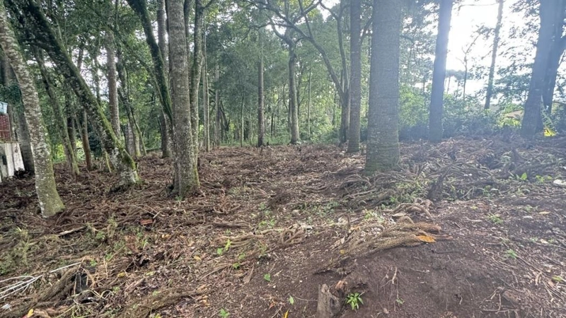 null: 8ª foto da galeria de imagens do imóvel