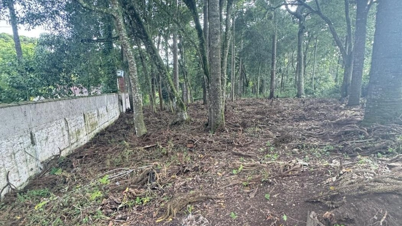 null: 9ª foto da galeria de imagens do imóvel