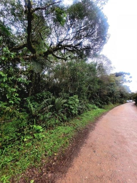 null: 3ª foto da galeria de imagens do imóvel