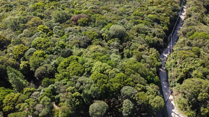 null: 4ª foto da galeria de imagens do imóvel