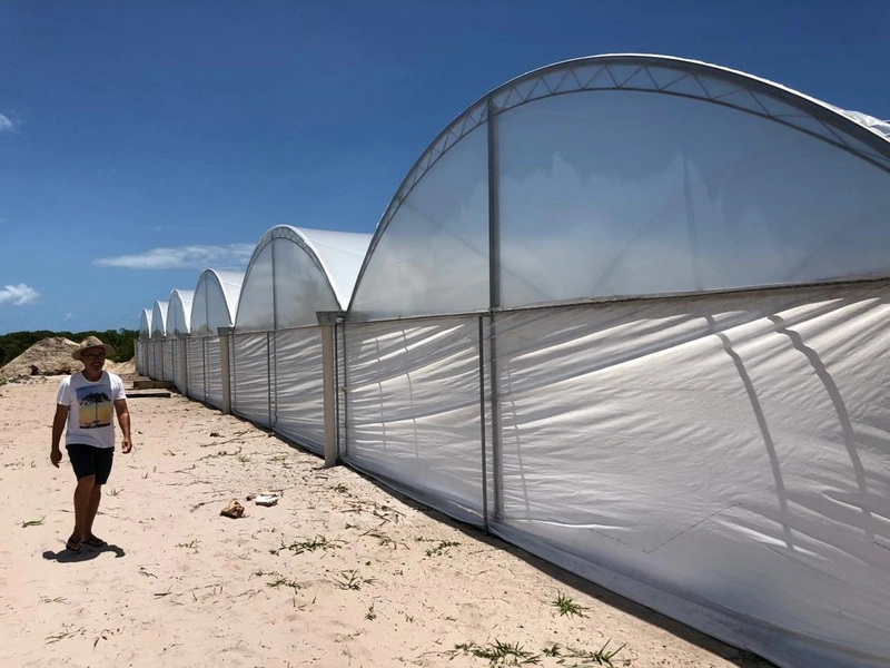 null: 12ª foto da galeria de imagens do imóvel