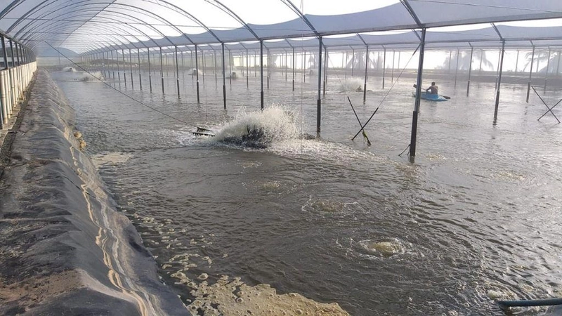 null: 17ª foto da galeria de imagens do imóvel