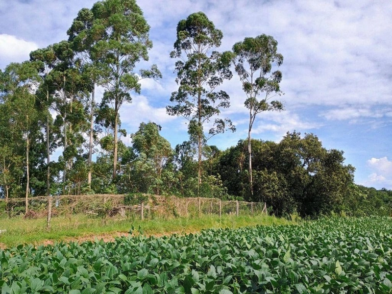 null: 4ª foto da galeria de imagens do imóvel